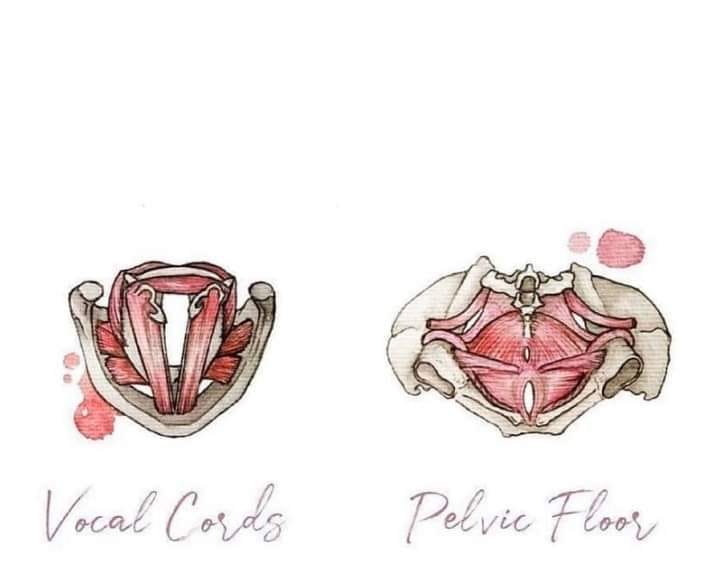 Labor and Birth Resources Voices of Eve Birth Ministries