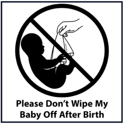 Please don't wipe my baby off after birth (black)