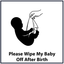 Please wipe my baby off after birth