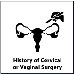 History of cervical or vaginal surgery