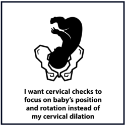 I want cervical checks to focus on baby's position and rotation instead of my cervical dilation